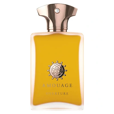 Immagine di Amouage overture man epv 100ml