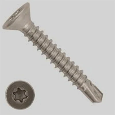 Immagine di 100 viti autofilettanti 4,2 x 38 mm, in acciaio inox A2 con testa svasata, DIN 7504 O TX 20