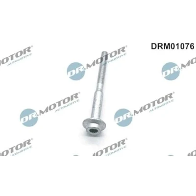 Immagine di DR.MOTOR AUTOMOTIVE DRM01076 Bullone, Supporto iniettore VOLKSWAGEN: Touran I, GOLF 6, Transporter 5, SKODA: Octavia 2 Combi, SEAT: Leon II Hatchback
