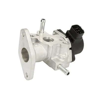 Immagine di Valvola EGR DELPHI EG10483 12B1