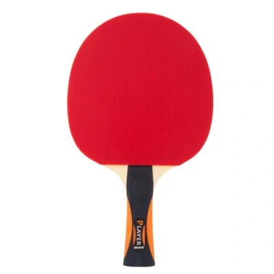 Immagine di GEWO Racchetta da ping pong Player approvata ITTF Alto controllo e caratteristiche di rotazione massime professionale per giocatori d&#039;attacco,