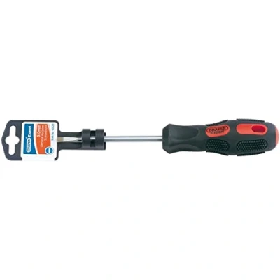Immagine di Draper 40028 Cacciavite a testa piatta, 5 x 100 mm
