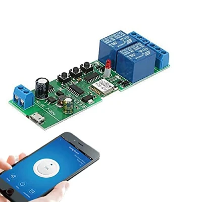 Immagine di Yueyang Inching/Autobloccante WiFi Senza Fili Smart Switch 1 Canale Intelligente Relè Módulo DC 5V 7 12v 32v Telecomando Interruttore Timer con Alexa ewelink Al Porta del Garage (2CH D12V)