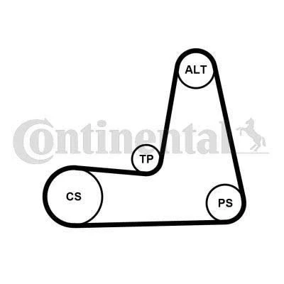 Immagine di CONTITECH 5PK1110K1 Kit cinghie Poly V RENAULT: CLIO 2, LAGUNA 2 Grandtour, Kangoo I Express, DACIA: Sandero I, Logan MCV, Sedan