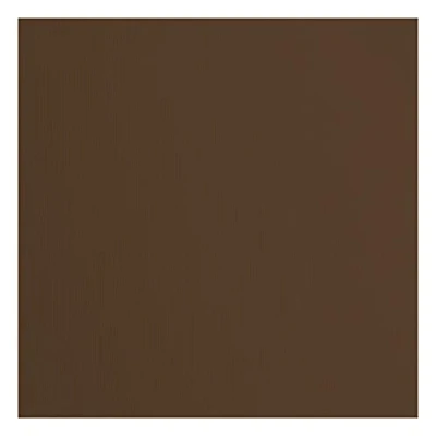 Immagine di Cartoncino Florence Testurizzata Materiali per Biglietti colorati 30,5 x cm Hazelnut 20 Fogli Carta Scrapbooking, Biglietti, Fustellatura e Progetti con 216 gsm Marrone