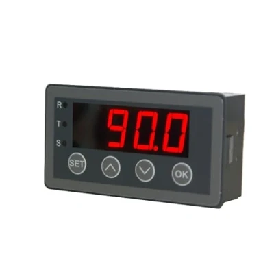 Immagine di display digitale 0 10 V 20 mA 2 4 analogico input (versione relè)