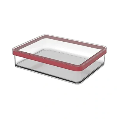 Immagine di Rotho Loft Contenitore Rettangolare con Coperchio e Guarnizione, Plastica (SAN) senza BPA, Trasparente/Rosso, 1 L, 20.0 x 15.0 4.8 cm