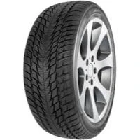 Immagine di Fortuna Gowin UHP 2 205/45 R17 88V auto Pneumatici invernali FP039380