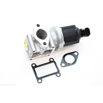 Immagine di AUTOMEGA 140024310 Valvola EGR OPEL: Zafira B, Astra H Hatchback, Caravan, FIAT: BRAVO 2, Stilo Multi Wagon, Croma II Station Wagon