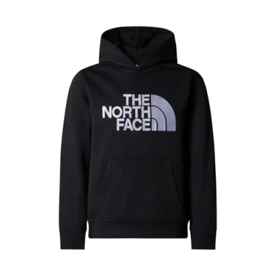 Immagine di The North Face B DREW PEAK P O Felpa con cappuccio per bambini, Taglia: 167 173, Tnf black