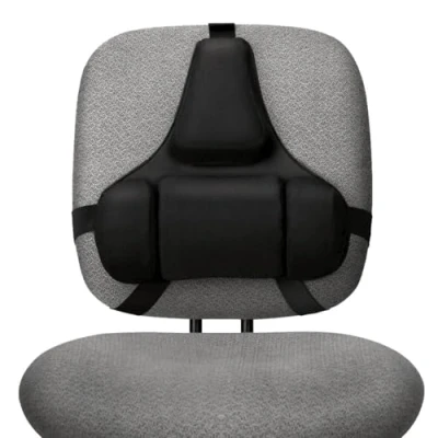Immagine di Fellowes Supporto schiena con cuscino lombare in memory foam Professional Series Ultimate, Grigio