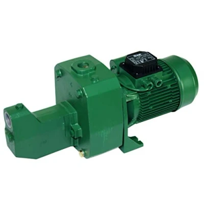 Immagine di Jetly getto 151m Pompa di superficie biellulare autoadescante 1.1kw mono