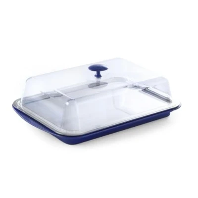 Immagine di HENDI Vetrina espositiva refrigerata, Display per Buffet, set espositore di raffreddamento con vassoio, coperchio trasparente ed 2 elementi refrigeranti, 430x290x(H)150mm, polistirolo, Inox