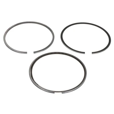 Immagine di ENGITECH ENT047002 STD Kit Fasce Elastiche
