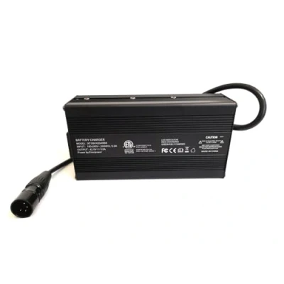 Immagine di Enerpower Caricabatterie di ricambio BMZ 42 V 5 A 215 Watt BSC42005000 XLR 4 per Derby Cycle, Kalkhoff, sistemi impulse
