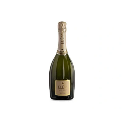 Immagine di ELÈM Alta Langa DOCG Metodo Classico Pas dose 1 X 750 ml