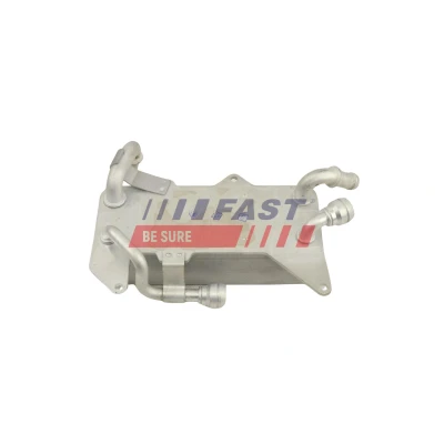 Immagine di FAST FT01013 Radiatore Olio raffreddato ad acqua