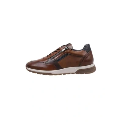 Immagine di Fluchos F1600 Habana Camel+Com.2 Louis (42)