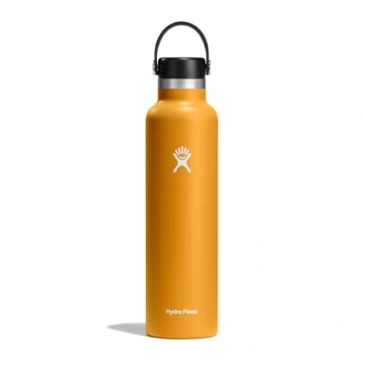 Immagine di Hydro Flask Bottiglia d&#039;acqua 709 ml 24 oz in acciaio inossidabile isolata sottovuoto con tappo Flex a prova di perdite e rivestimento polvere Senza BPA Bocca standard Fossil