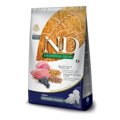 Immagine di N&amp;D ANCESTRAL GRAIN DOG LAMB, SPELT, OATS AND BLUEBERRY PUPPY MEDIUM &amp; MAXI 2.5KG