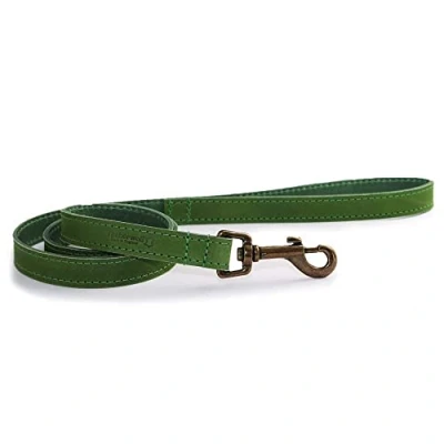 Immagine di Ancol Timberwolf Piombo in pelle, 1 x 19 mm, colore: Verde