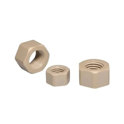 Immagine di Aqxypas Materiale PEEK Dadi esagonali Rondella piatta M2 M2.5 M3 M4 M5 M6 M8 M10 M12 M14 M16 M18 M20(M10 Nut 5PCS)