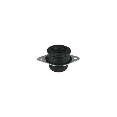 Immagine di DELPHI TEM041 Supporto motore RENAULT: TRAFIC 2 Kasten, Bus, 2, OPEL: Vivaro A Van, Camion pianale / Telaio, Combi