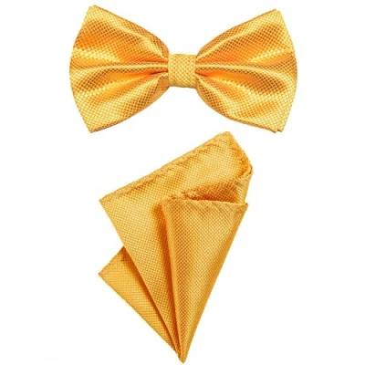 Immagine di DonDon Set da uomo due pezzi con pochette e papillon coordinati regolabili giallo
