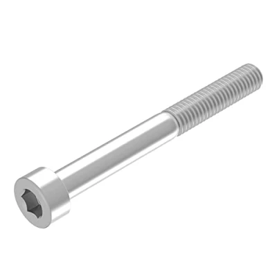 Immagine di SECCARO vite a testa cilindrica M6 x 55 mm, acciaio inox V2A VA A2, DIN 912/ISO 4762, cava esagonale, filo parziale, 20 pezzi