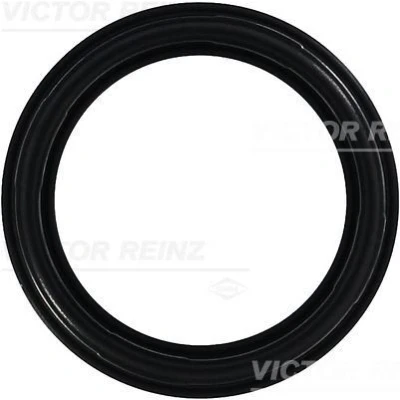 Immagine di REINZ 71 35659 00 Guarnizione Coperchio Punterie FIAT: Punto II Hatchback, Stilo Multi Wagon, LANCIA: Dedra Sedan, Lybra Sedan