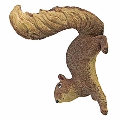 Immagine di Design Toscano Simone lo scoiattolo Statua del giardino pensile bosco, poliresina, a colori, 20 cm
