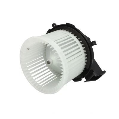Immagine di Soffiante interna THERMOTEC DDF017TT