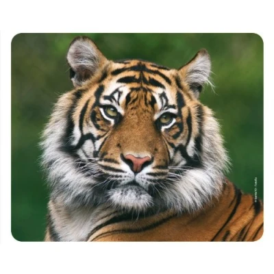 Immagine di TIGRE Tappetino per mouse (24 x 19 cm), molto resistente allo strappo, con una forte base adesiva presa ottimale compatibile tutti i tipi di