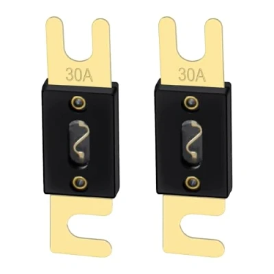 Immagine di Heschen ANL Fuse 30 Amp per auto Veicoli Sistema Audio Foglio Oro &amp; Nero Confezione da 2