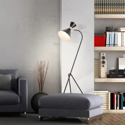 Immagine di Lightbox 1 Lampada da terra a fiamma con testa orientabile e interruttore pedale Metallo nero opaco/ottone spazzolato Altezza 1,6 m