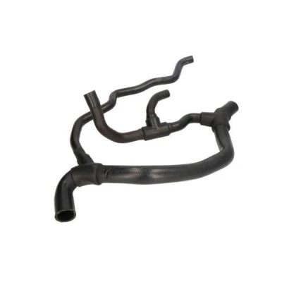Immagine di THERMOTEC DWR080TT Tubo Radiatore inferiore Gomma RENAULT: CLIO 2, Kangoo I, I Express
