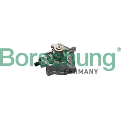 Immagine di Borsehung B18774 Pompe a Vuoto VOLKSWAGEN: New Beetle Hatchback, GOLF 6, AUDI: TT Coupe