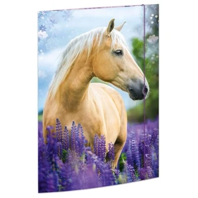 Immagine di RNKVERLAG 45381 cartella per disegni sogni di cavallo 310 x 440 mm, documenti DIN A3, con chiusura elastica, 1 pezzo