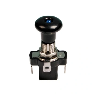 Immagine di Pilot Interruttore Tira/SPINGI LED Blu 12/24V Max 20A
