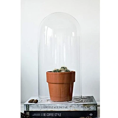 Immagine di EMH Campana a cupola in vetro soffiato trasparente con display circolare, alta 40 x 20 cm