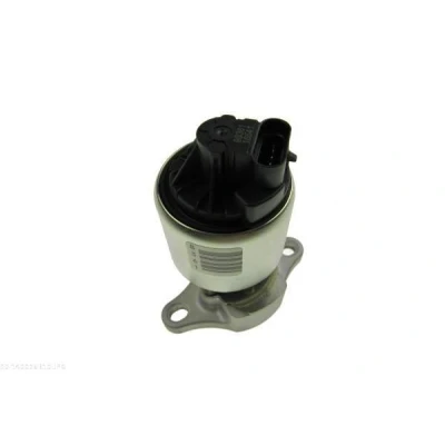 Immagine di AUTOMEGA 140026310 Valvola EGR OPEL: Zafira A, Astra G Caravan, CC