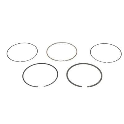 Immagine di GOETZE ENGINE 08 445700 00 Kit Fasce Elastiche 73