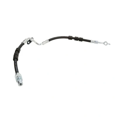 Immagine di DELPHI LH7128 Tubi Freno M10x1 INT DF