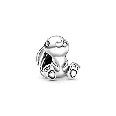 Immagine di Pandora Moments Braccialetto con pendenti Argento 798763C00