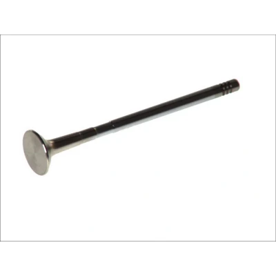 Immagine di FRECCIA R6305/BMCR valvola di Scarico 21,9 Stelo cromato OPEL: Corsa D Hatchback, Meriva A, Agila FIAT: Grande Punto Hatchback