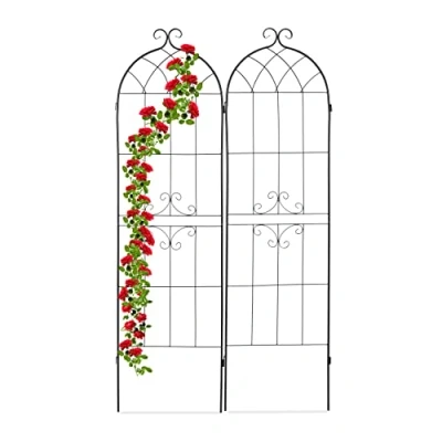 Immagine di Relaxdays Supporti Rampicanti, Set da 2, HxL: 180 x 50 cm, in Ferro, per Piante, Tralicci ad Incastro, Nero, 100%