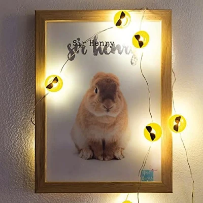 Immagine di hellum LED rame, emoji fredda con diametro di 2 cm, 10 bianchi caldi, lunghezza luce 90 cavo argento, per interni, a batteria (2AA), 522952