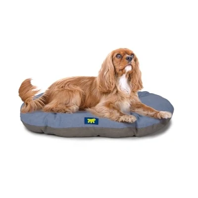 Immagine di Ferplast Cuccia Cane Relax, Cuscino per cani di medie dimensioni, Gatto, Tappetino cucce e auto Lavabile in Cotone con Soffice Imbottitura, 65 x 42 cm. Azzurro