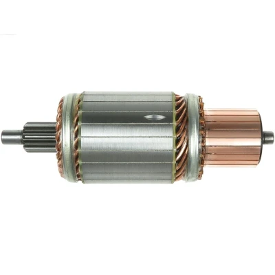 Immagine di AS PL SA5020 Ancorina, Starter
