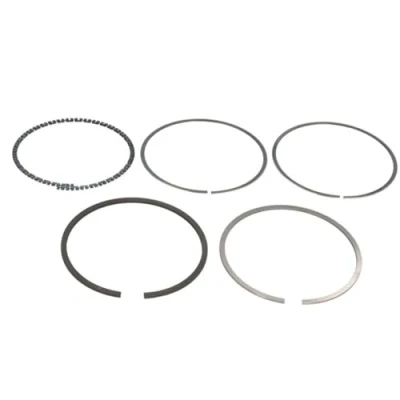 Immagine di GOETZE ENGINE 08 102700 00 Kit Fasce Elastiche 72,5 OPEL: Corsa C Hatchback, Agila A, Astra G Caravan